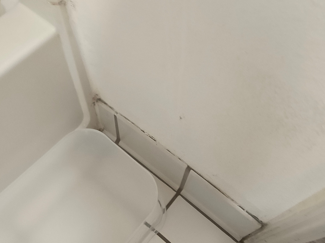 Comfort Suites Fernley主图