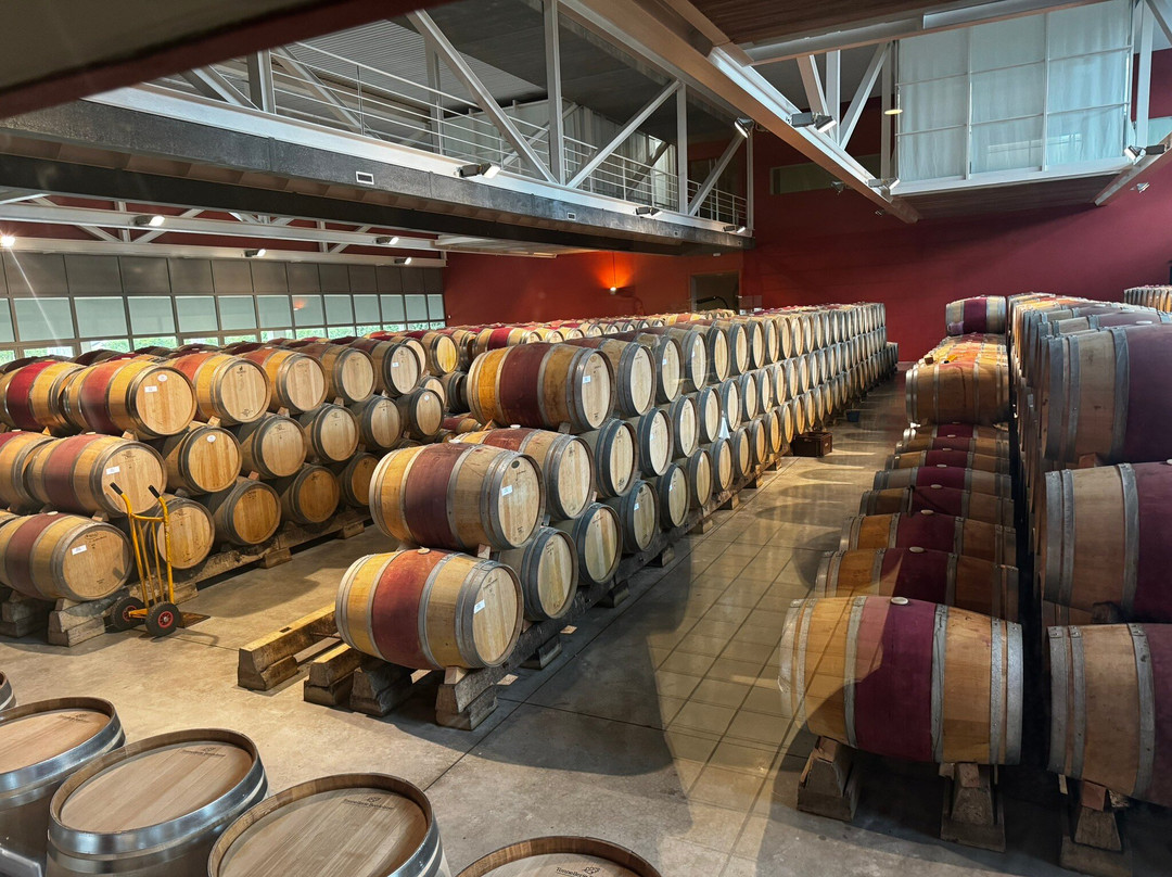 Wine Tours From Madrid-马德里必去景点