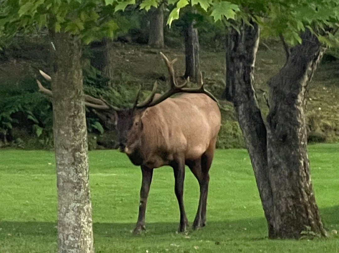 Elk Country Visitor Center景点图片