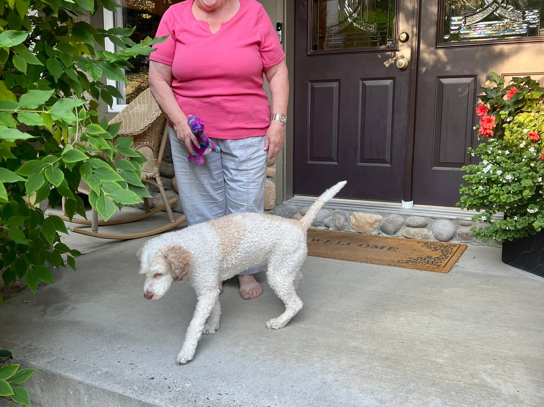 Off Our Rockies Bed and Breakfast主图