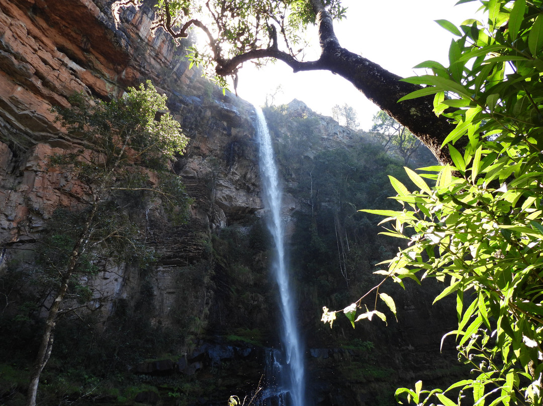 Lone Creek Falls-沙比必去景点
