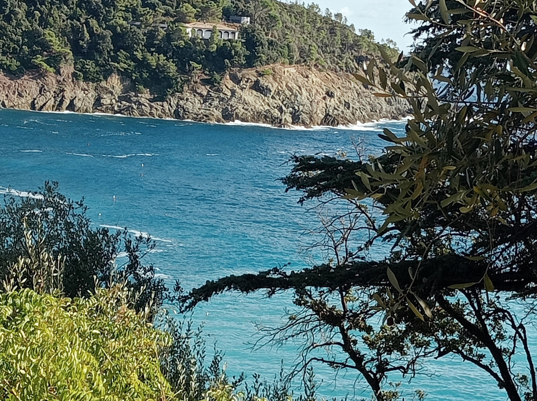 Spiaggia di Bonassola景点图片
