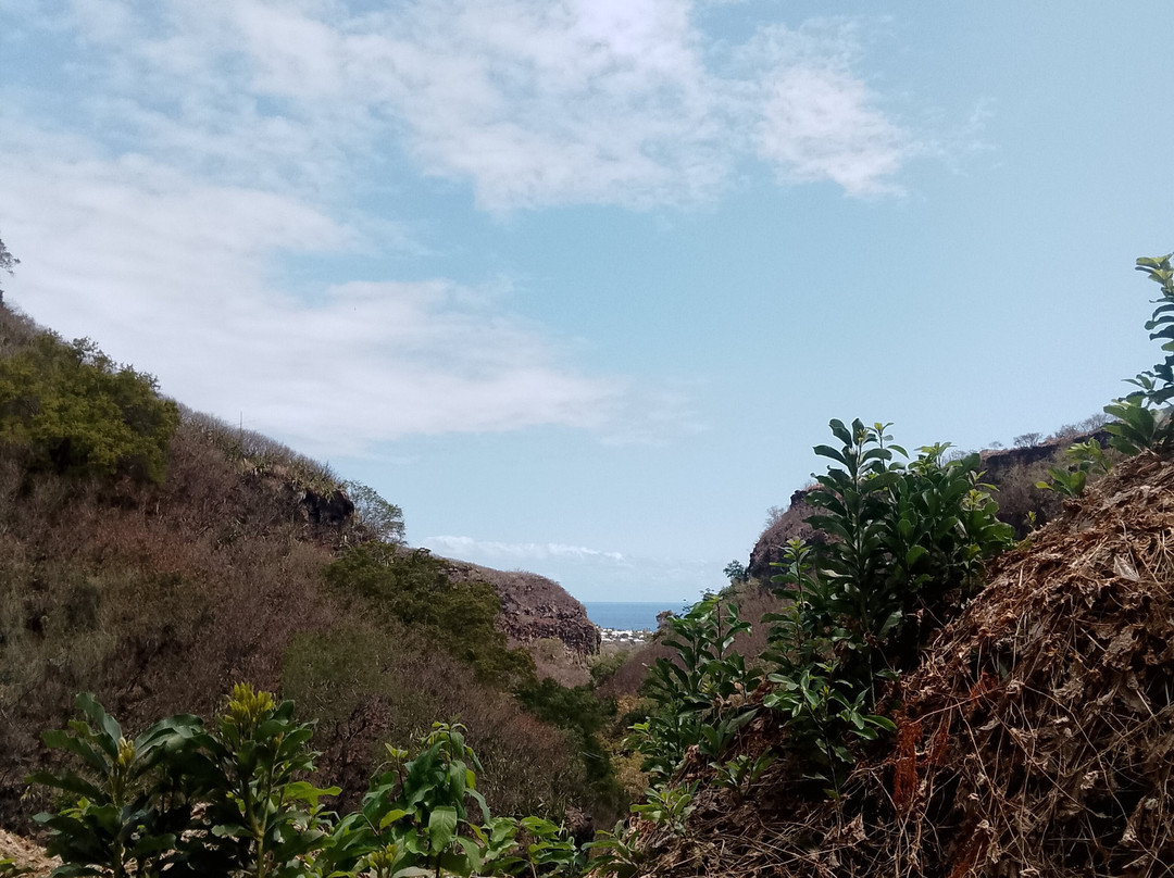 Bassin des Aigrettes景点图片