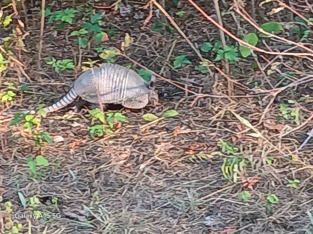 High View Park-恩尼斯必去景点