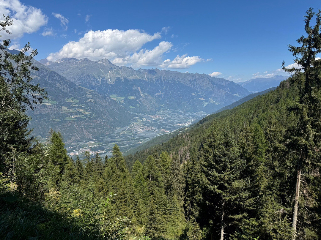 Vitalpina Hotel Schulerhof主图