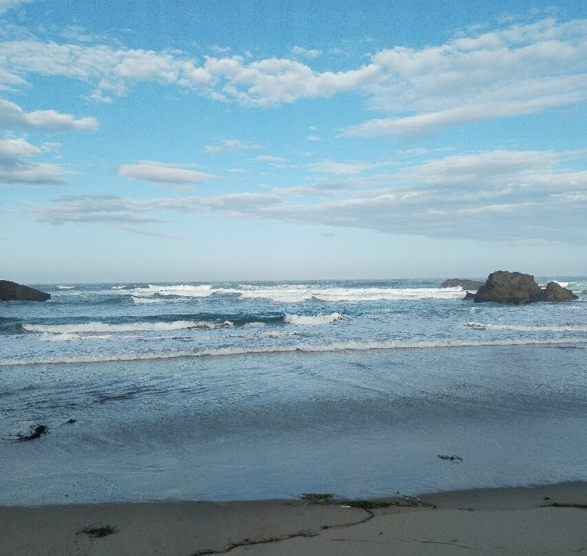 Pudding Creek Beach景点图片