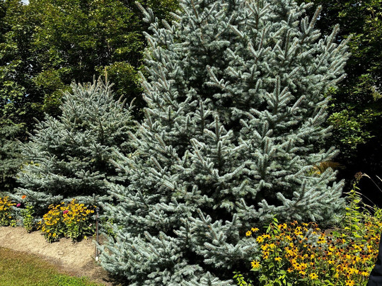 DiVine Tours-坎卢普斯必去景点