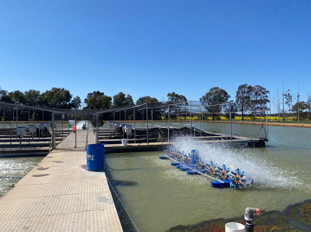 Bella Vita Riverina Tours-格里菲斯必去景点