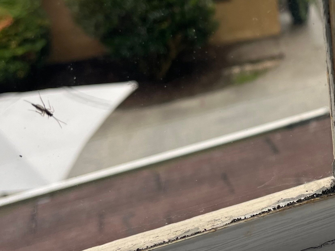 Lakeview at Fontana Inn & Treetop Soaking Cabanas主图