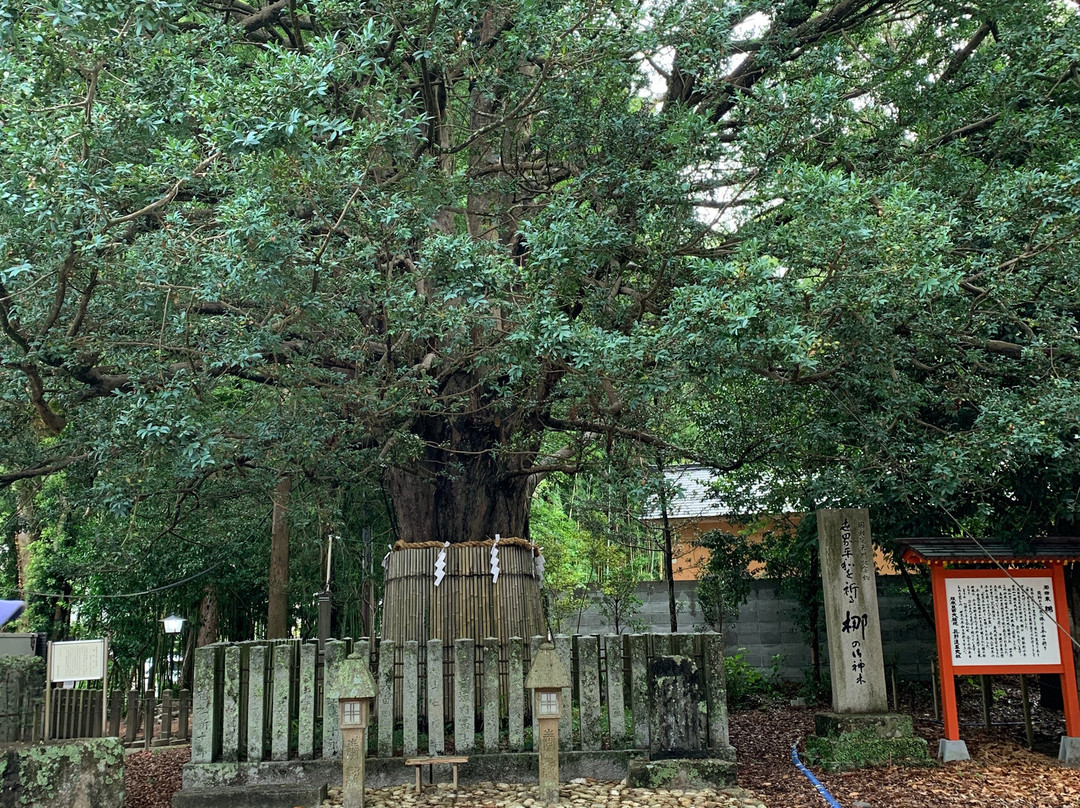 Kumano Hayatama Taisha-新宫市必去景点