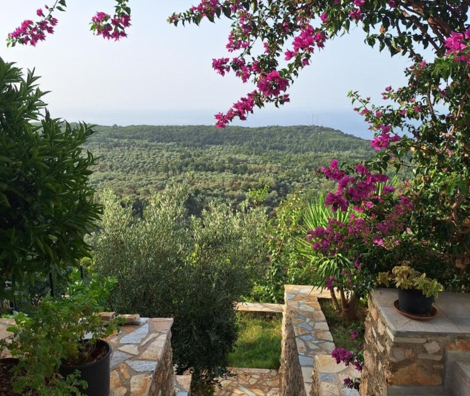 Vila Tatjana
