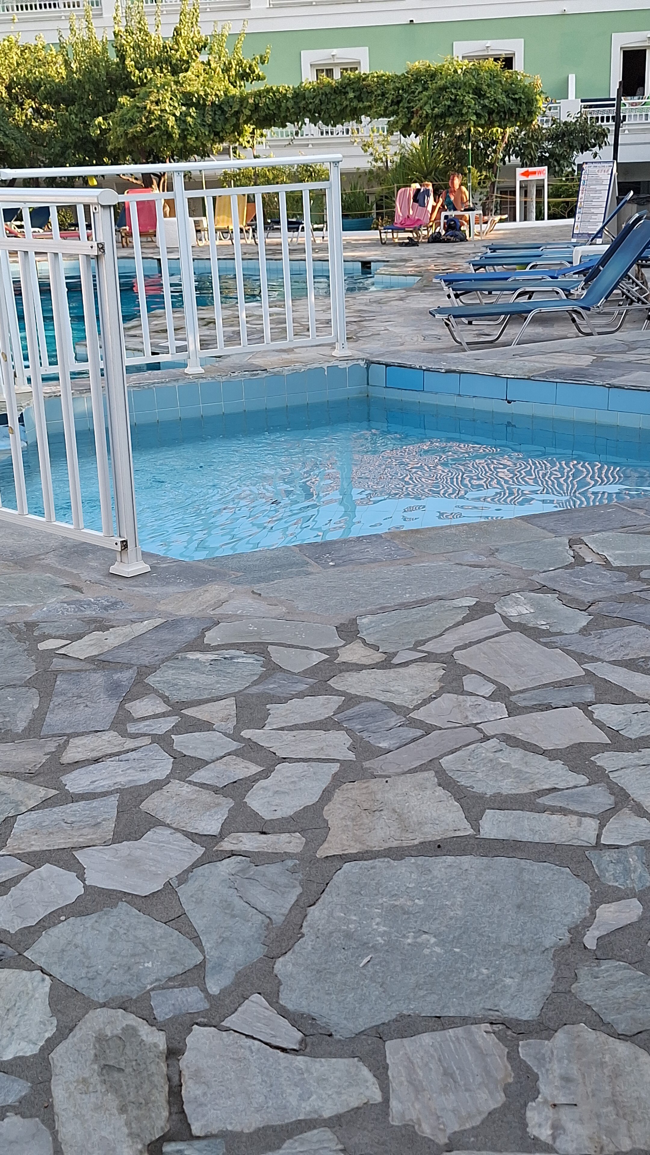 Evelin Hotel-泳池