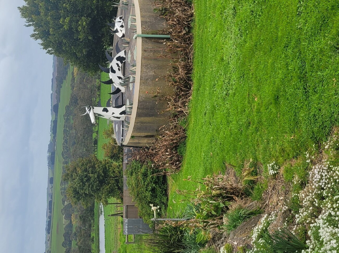 Apostle Whey Cheese-坎贝尔港必去景点