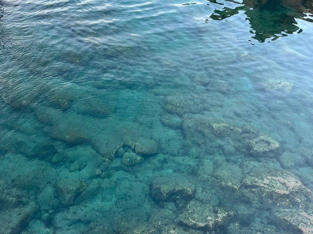 Charco De La Laja-San Juan de la Rambla必去景点