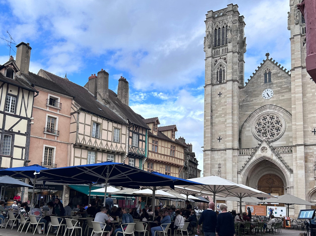 Cathédrale Saint Vincent-索恩河畔沙隆必去景点
