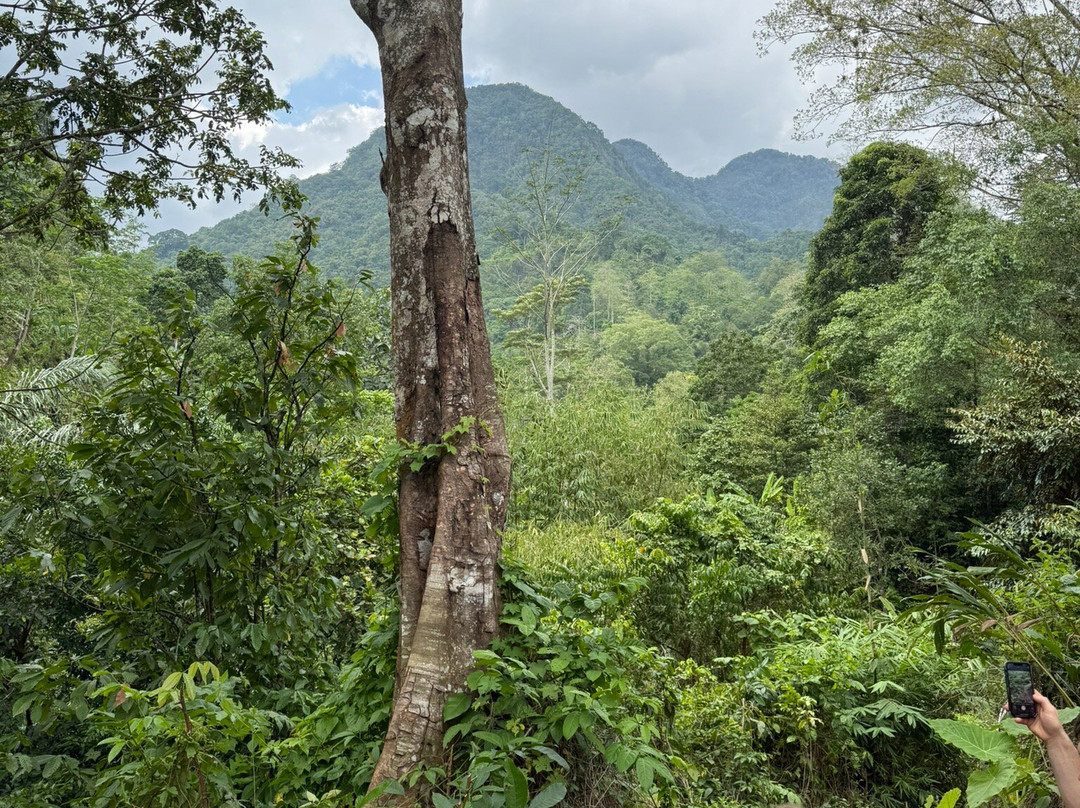 Lombok Forest Tour-Pemenang必去景点