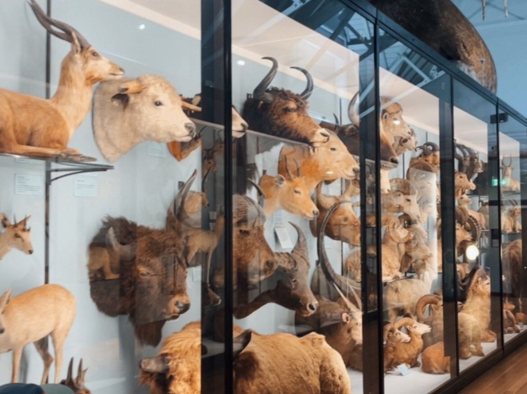 Natural History Museum at Tring景点图片