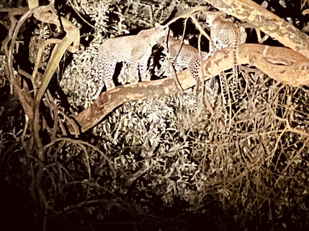 Oserengoni Wildlife Sanctuary-奈瓦夏必去景点