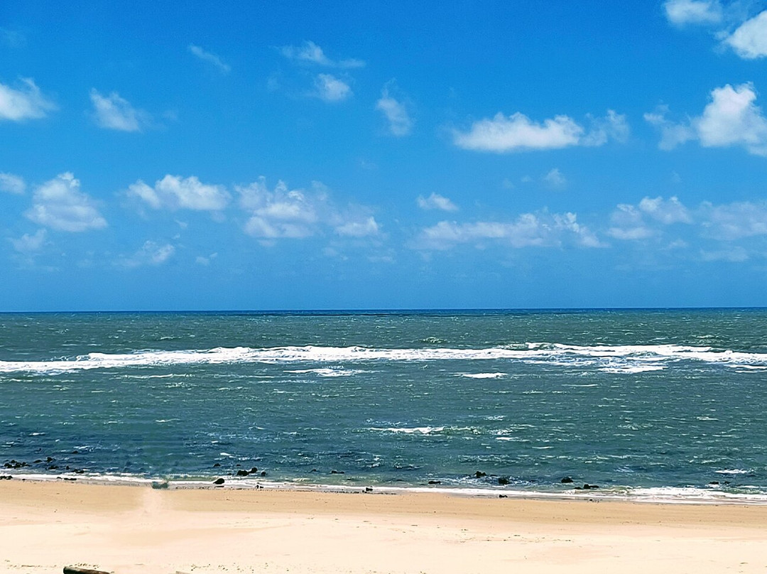 Praia de Barra de Tabatinga-Natal必去景点