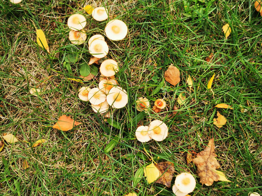 Bowlingtreff-Rosslau必去景点