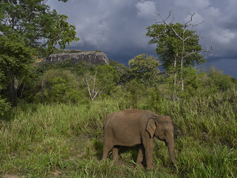 Sunil Reisen-Aluthgama必去景点