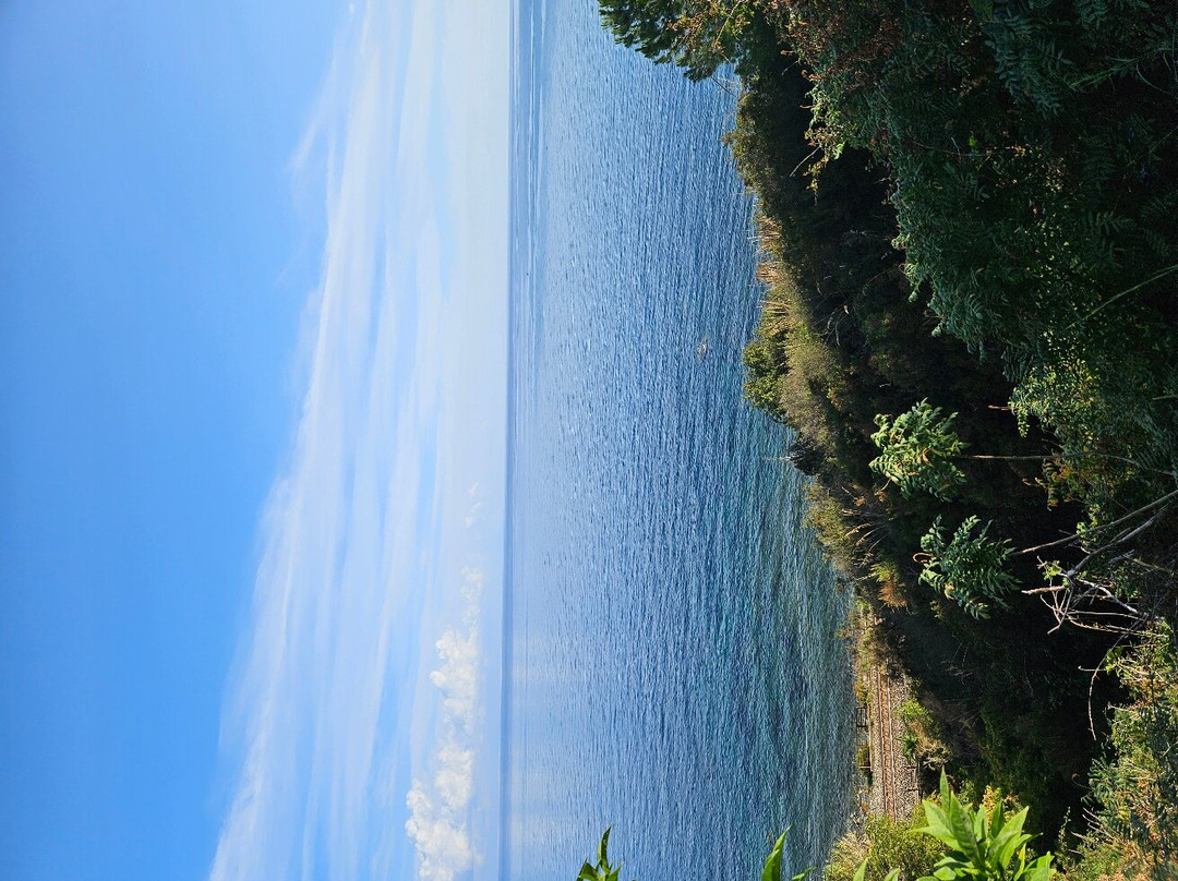 B&B Aria di Mare主图