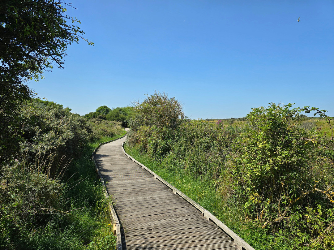 Reserve Naturelle Du Platier D'Oye景点图片