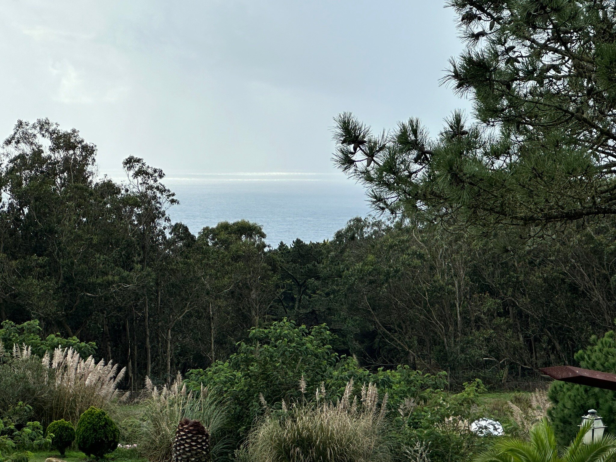 Quinta do Cabo Guesthouse-官方