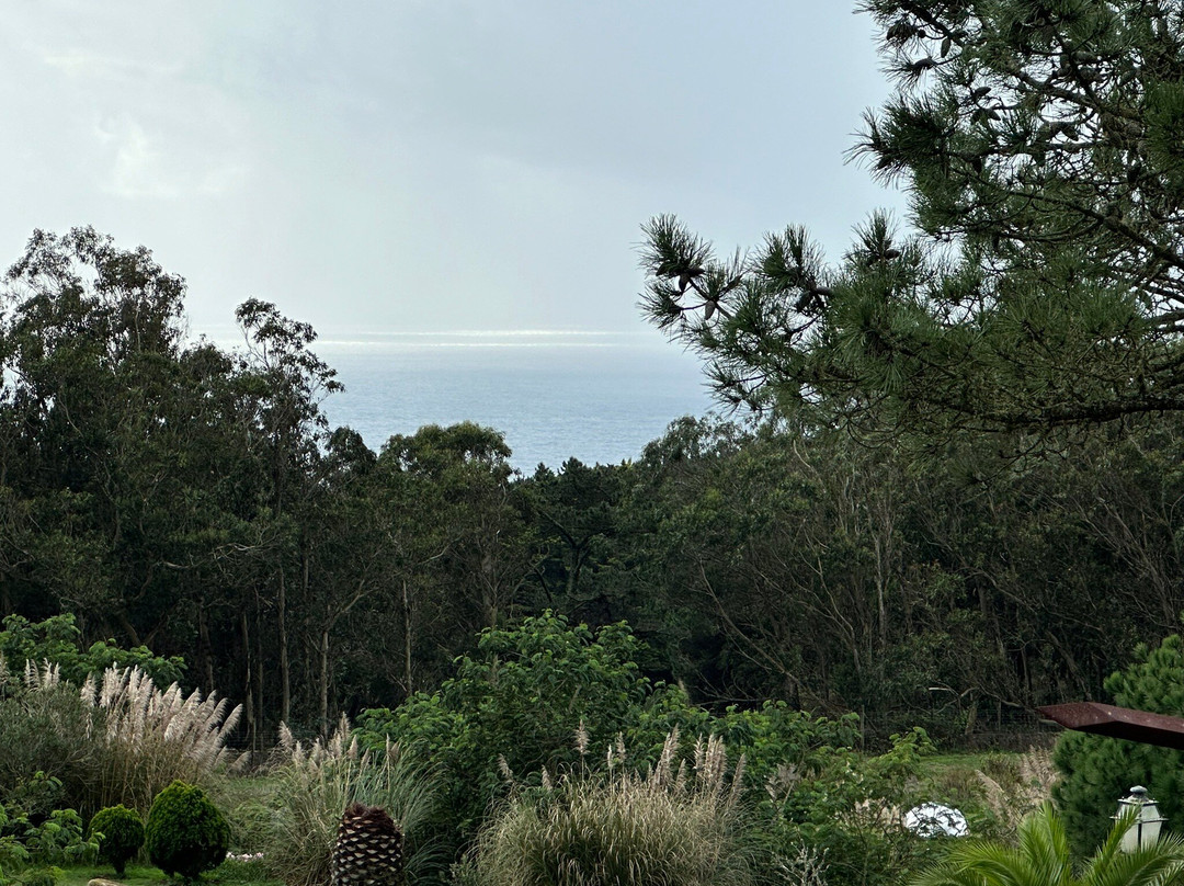 Quinta do Cabo Guesthouse主图