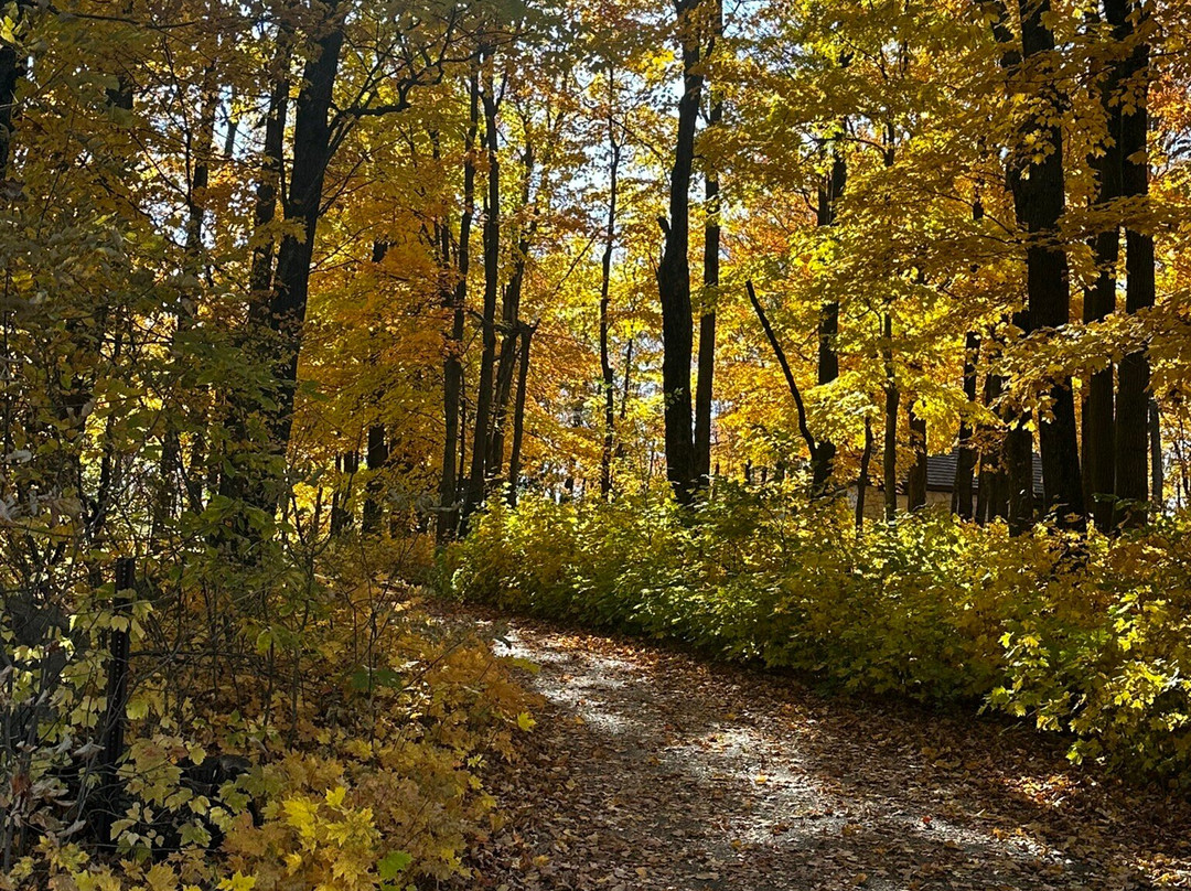 Rib Mountain State Park-Wausau必去景点