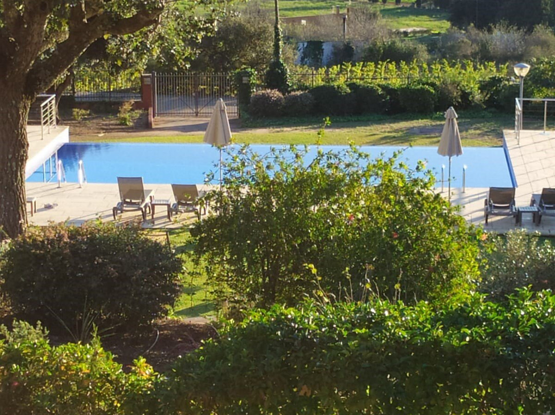 玛斯瑟斯维尼耶斯酒店主图