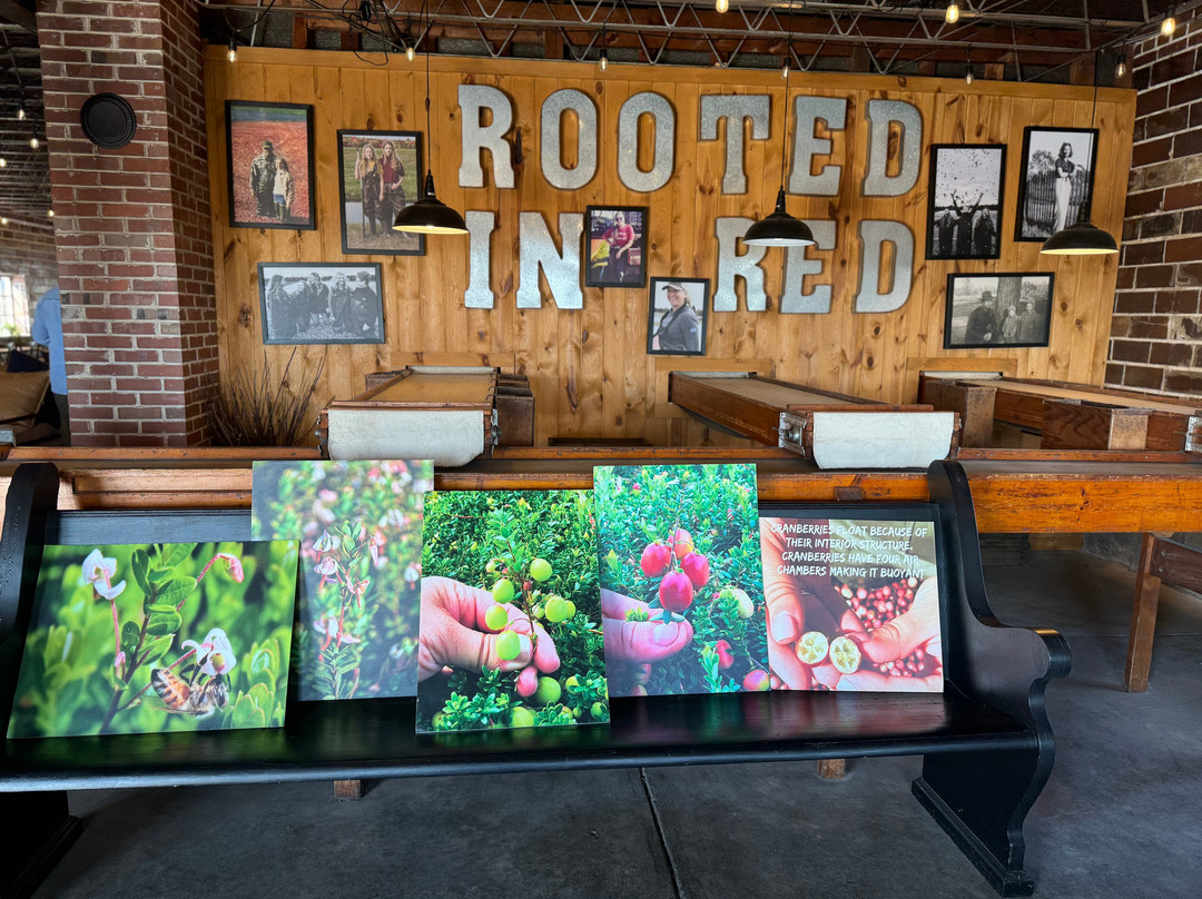 Rooted In Red Cranberry Tours in Wisconsin景点图片
