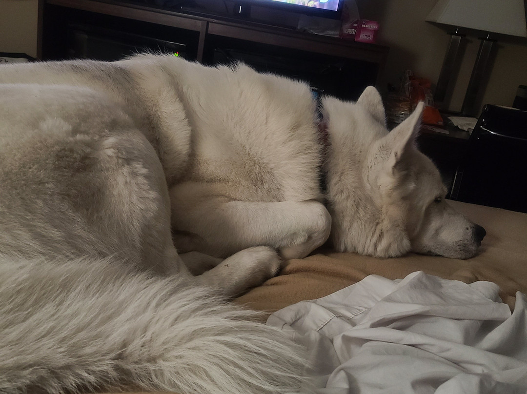 Super 8 by Wyndham Richfield UT主图