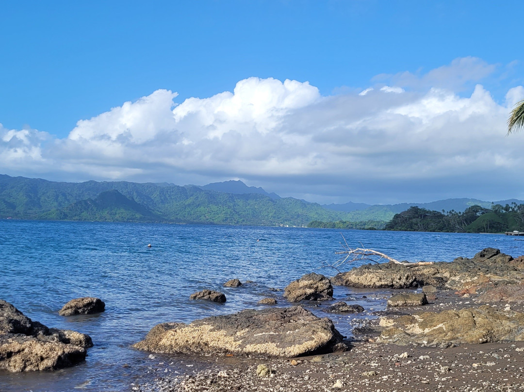 斐济壁虎山林小屋主图