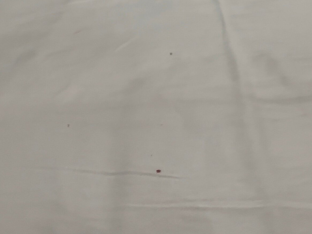 萨法瑞酒店主图