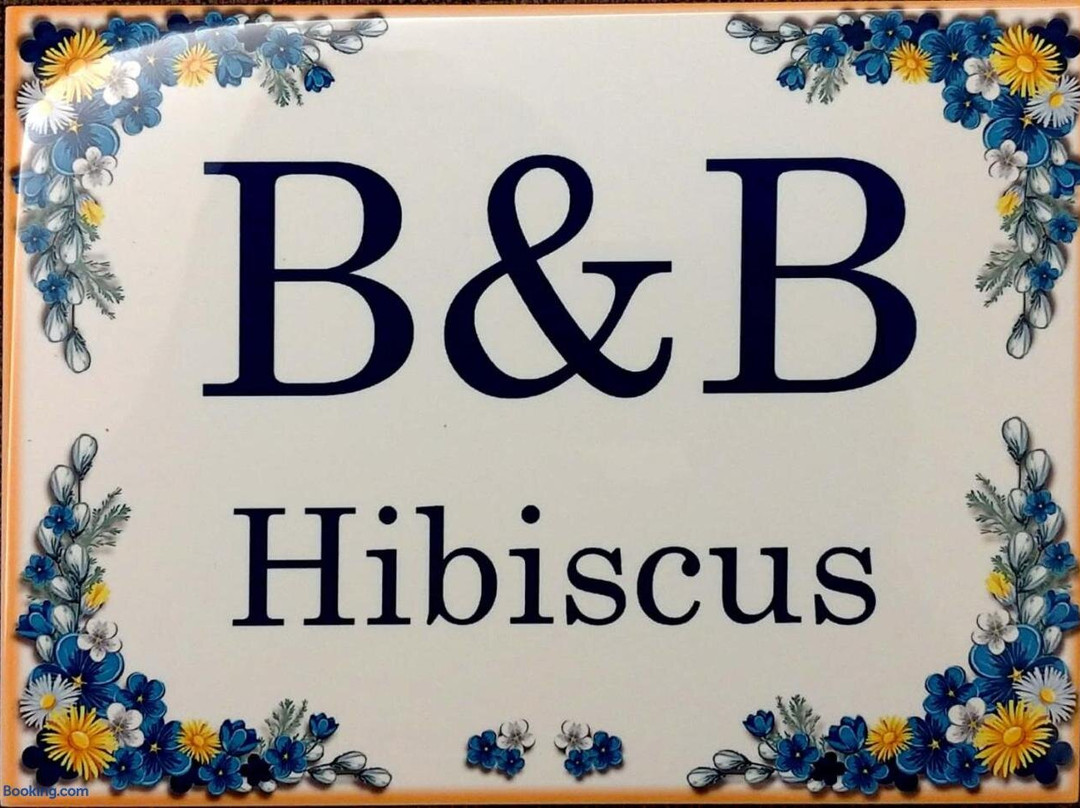B&B Hibiscus主图