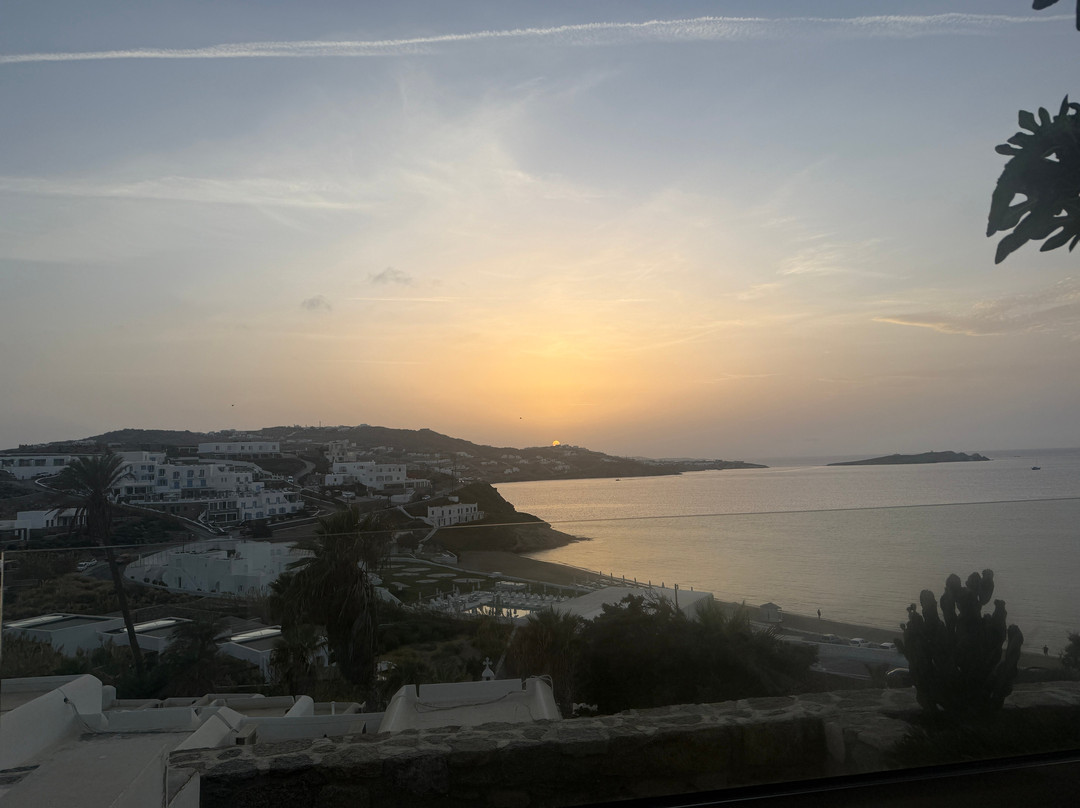 The Coast Bill&coo主图