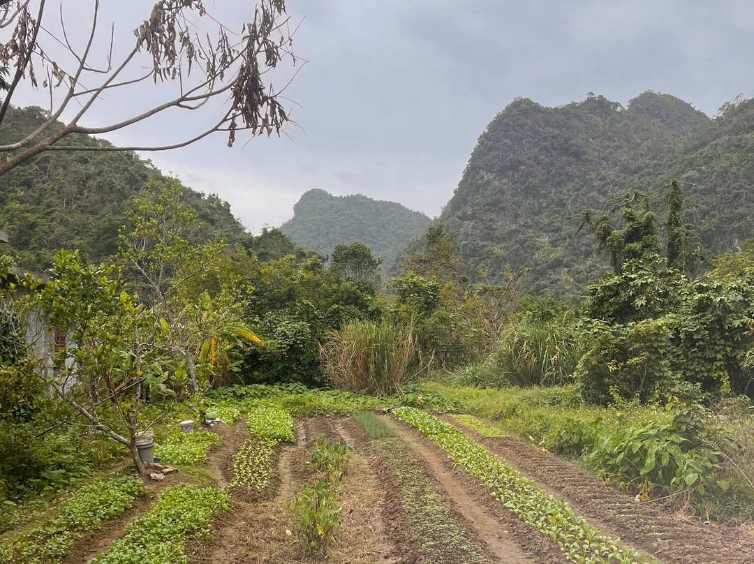 Viet Hai Village-卡巴必去景点
