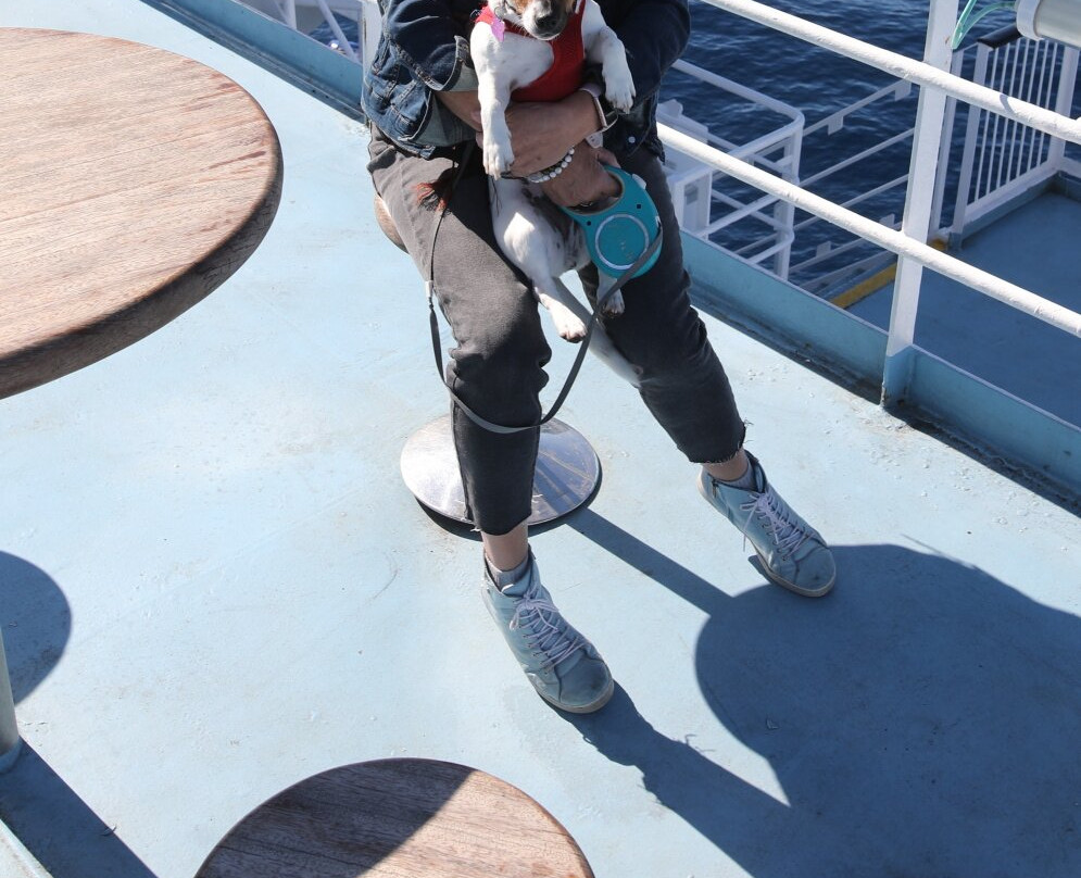 Corsica Ferries-Porto Torres必去景点