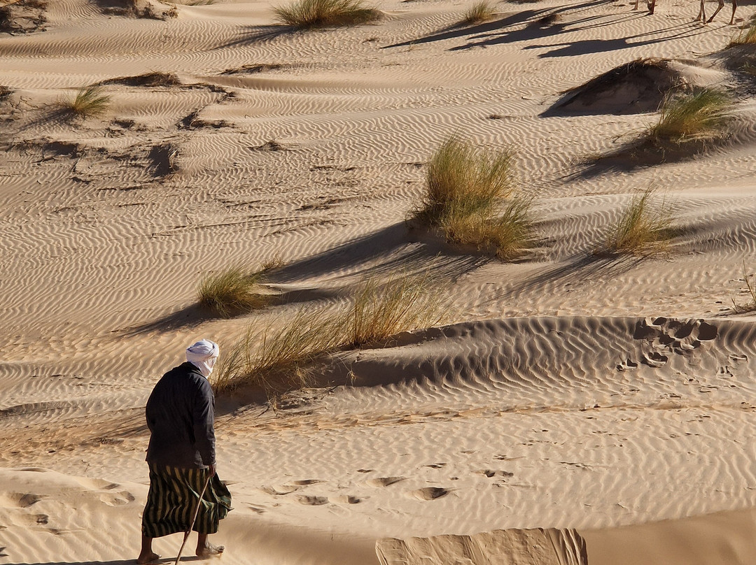 Memo Trotter-Chinguetti必去景点