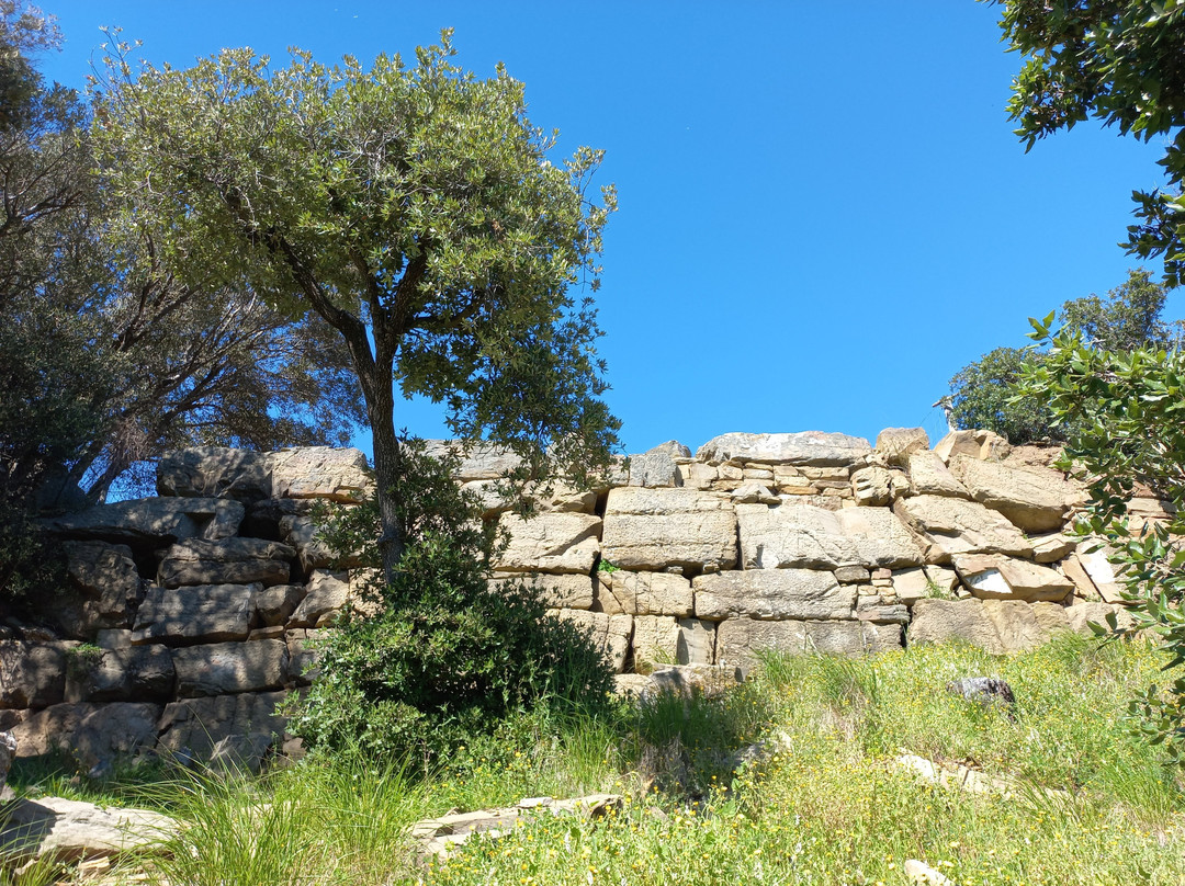 Baratti and Populonia Archeological Park景点图片