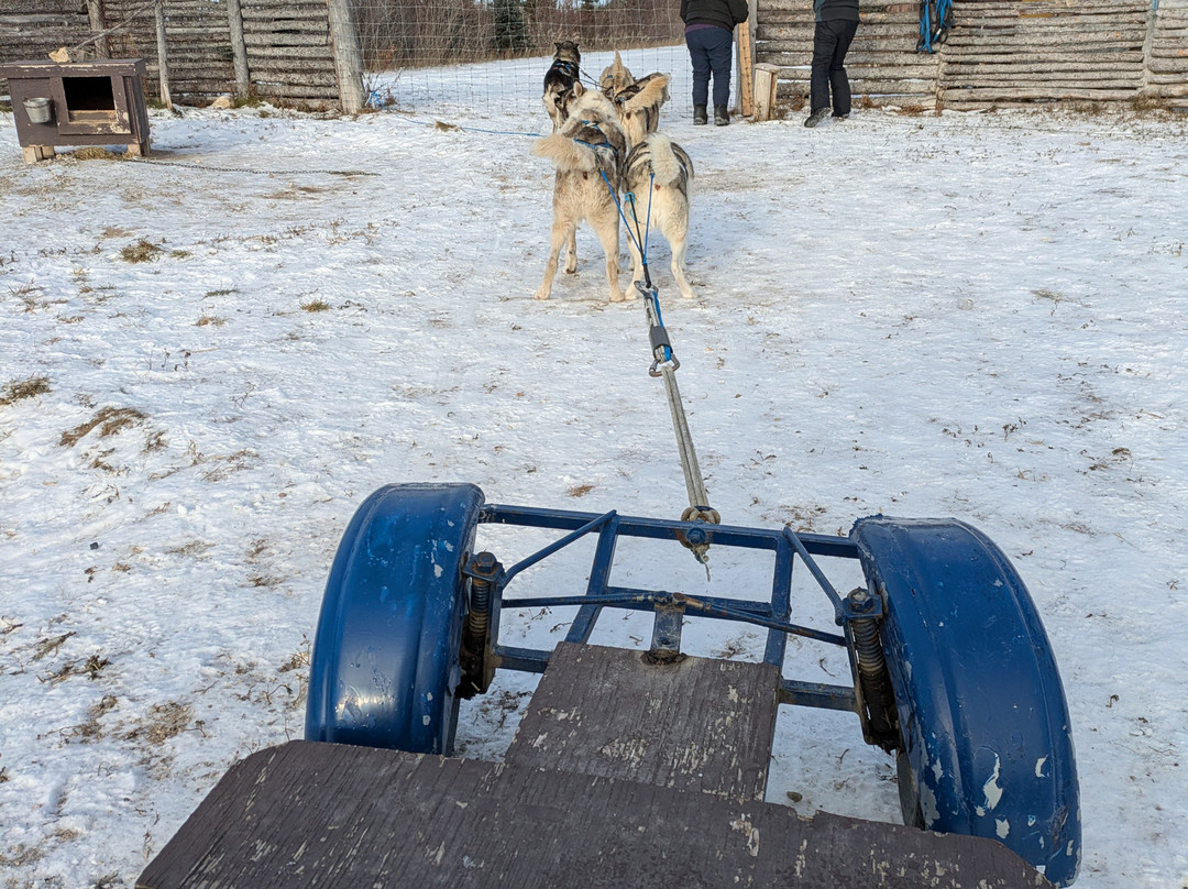 Blue Sky Expeditions-丘吉尔必去景点