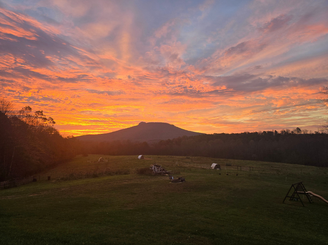 A Mighty Oak Bed & Breakfast主图