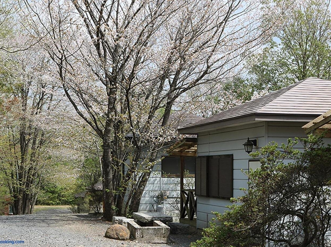 Washinosu Campsite