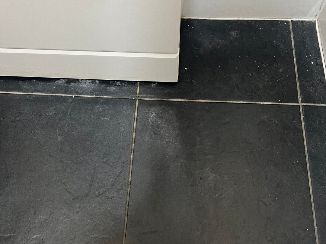 Lymedale Suites Aparthotel主图