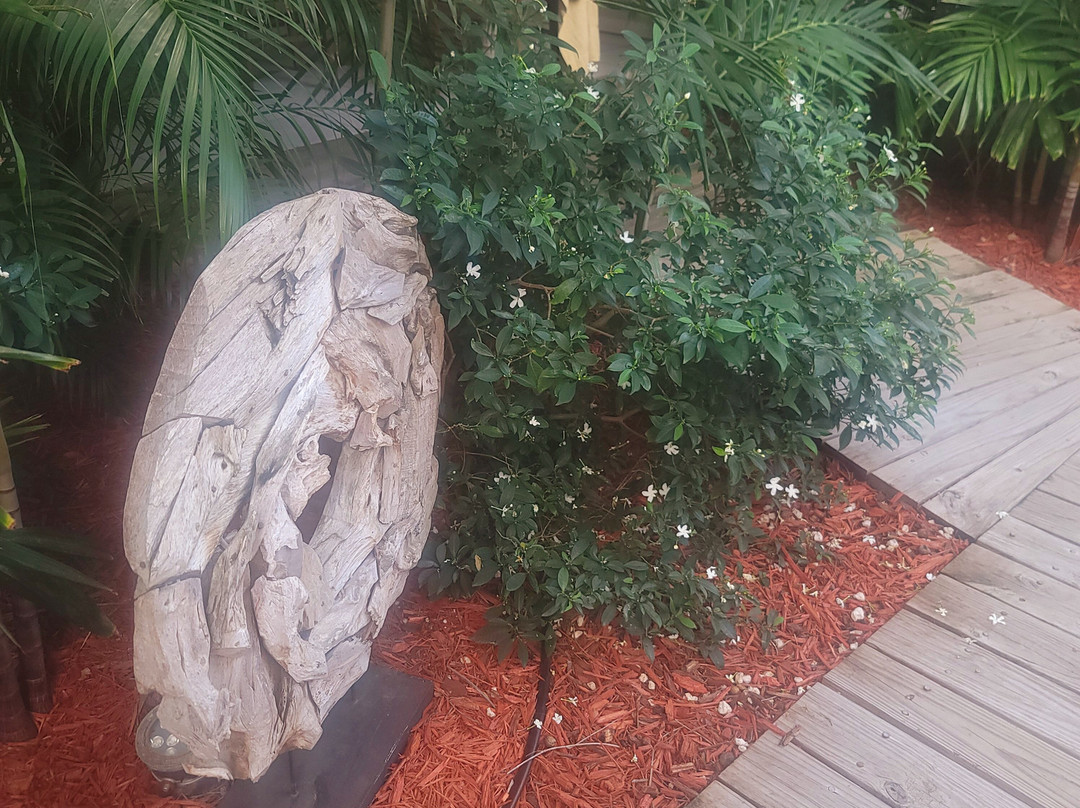 阿鲁巴巴拉特拉公园酒店主图