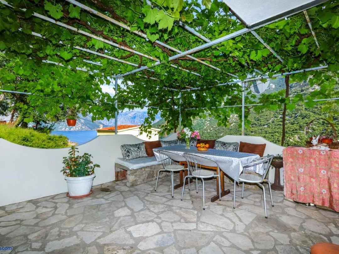 Apartments Zeko