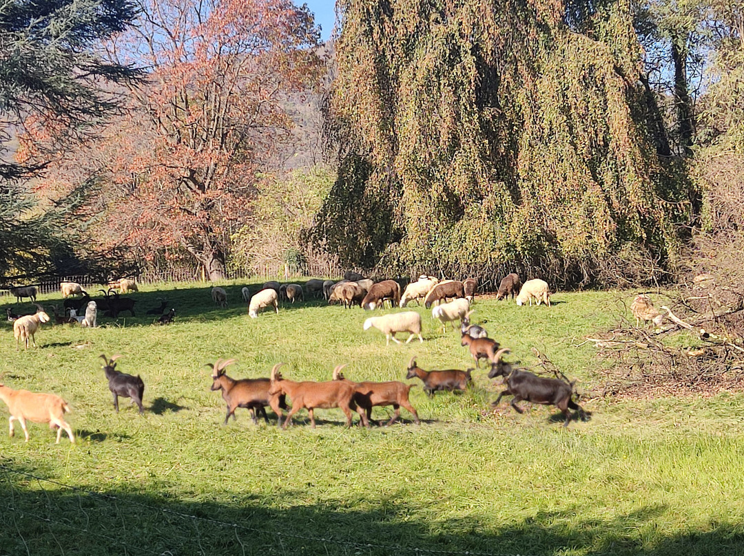 Parco della Burcina景点图片