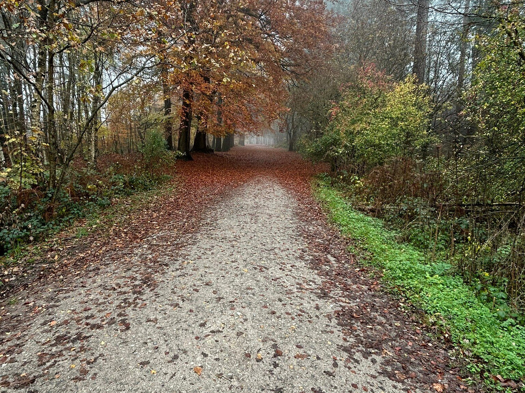 Delamere Forest Park景点图片