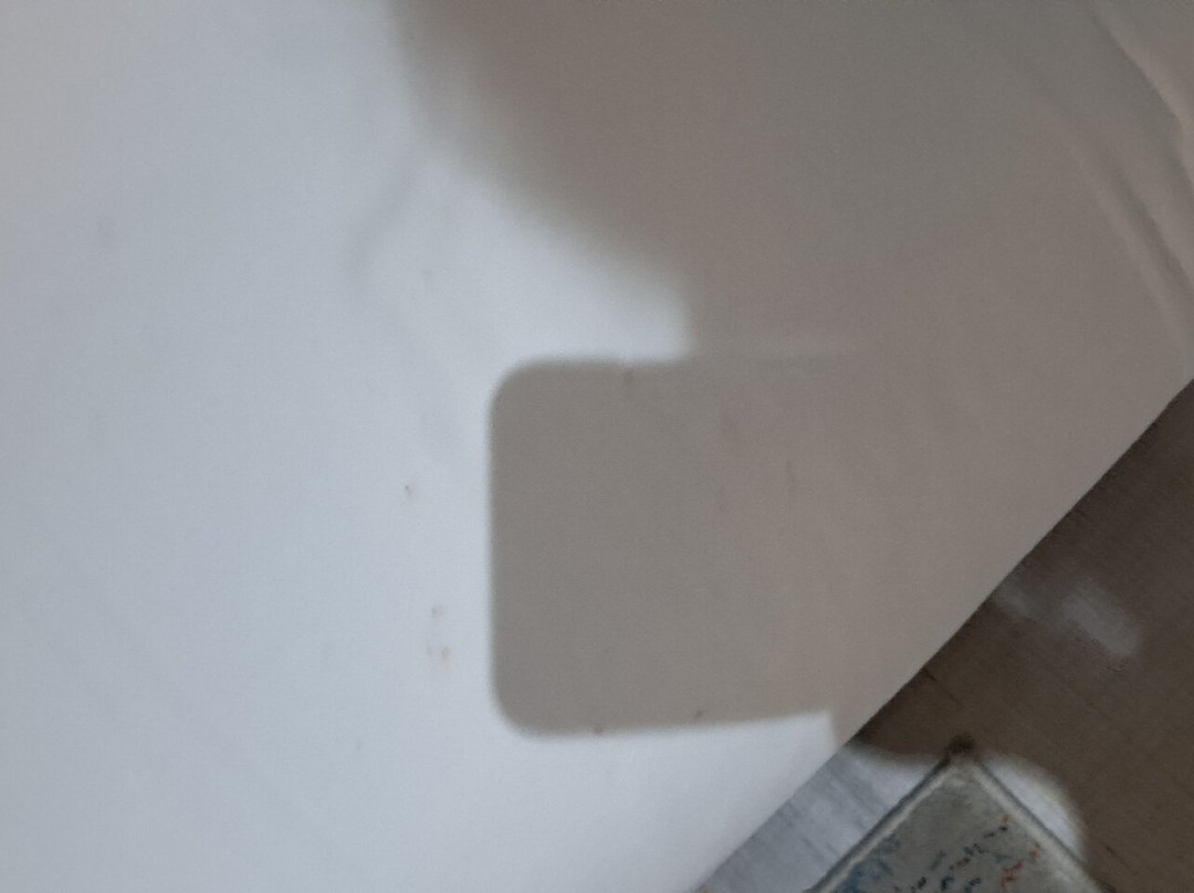 Hôtel Belle Vue & Spa主图